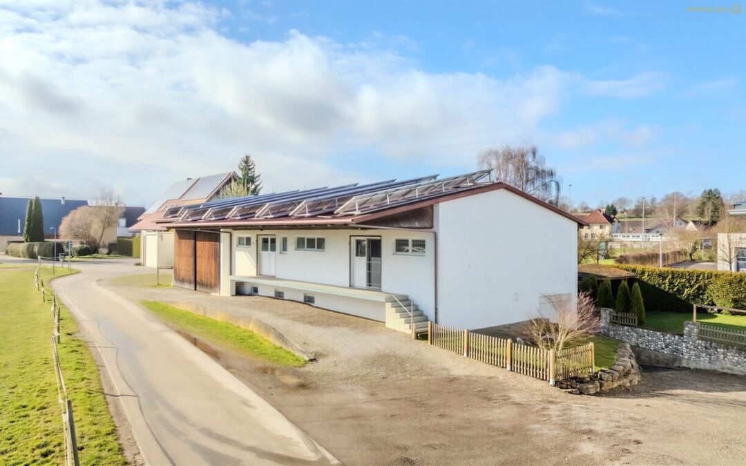 Wohn- und Geschäftshaus mit großzügigem Lager, Garage und nachhaltiger Energietechnik in Fulgenstadt